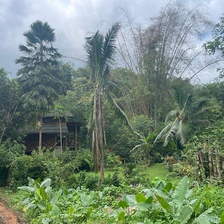 Caoni Riverside Lodge بويرتو كيتو المظهر الخارجي الصورة