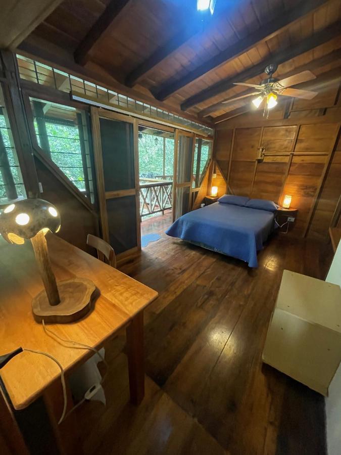 Caoni Riverside Lodge بويرتو كيتو المظهر الخارجي الصورة