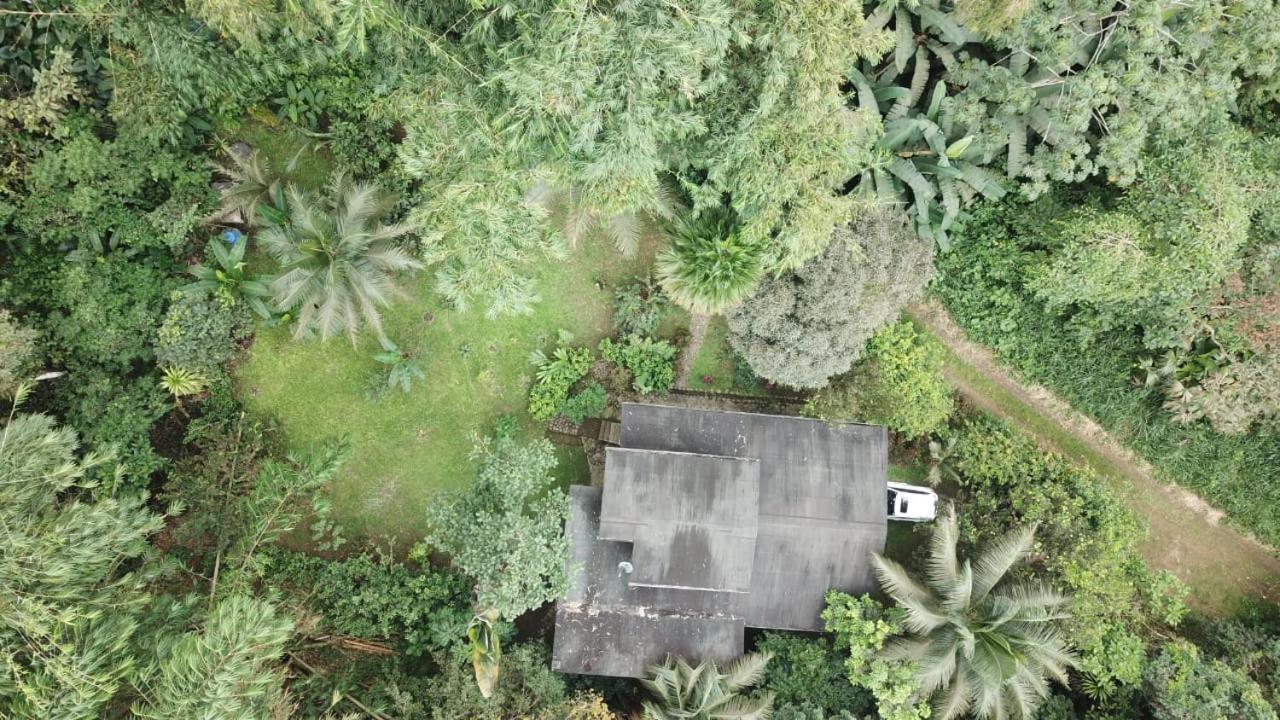 Caoni Riverside Lodge بويرتو كيتو المظهر الخارجي الصورة