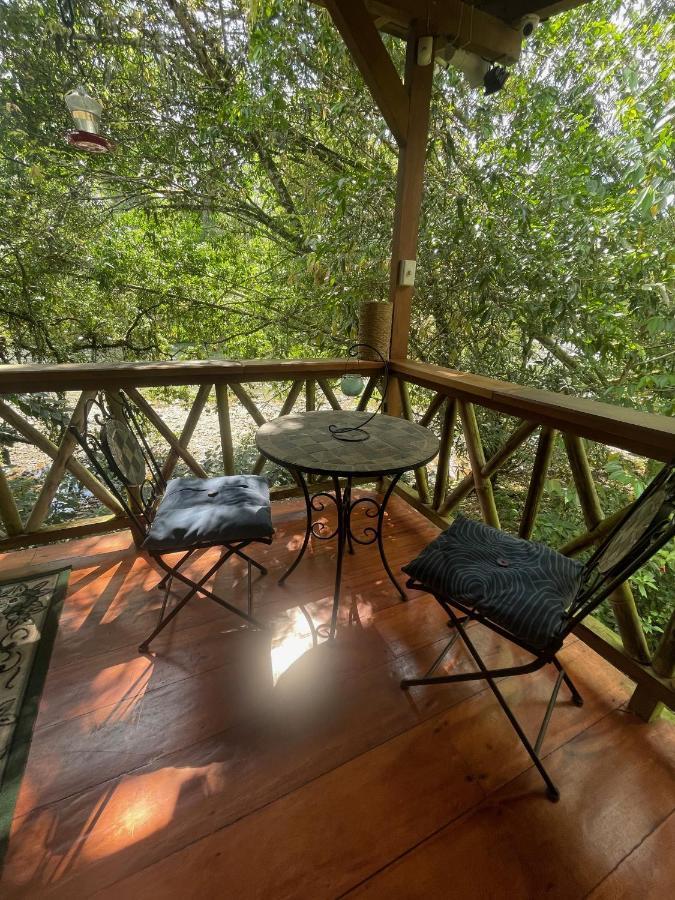 Caoni Riverside Lodge بويرتو كيتو المظهر الخارجي الصورة